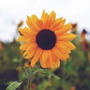 Meet your Posher, Mackenzie